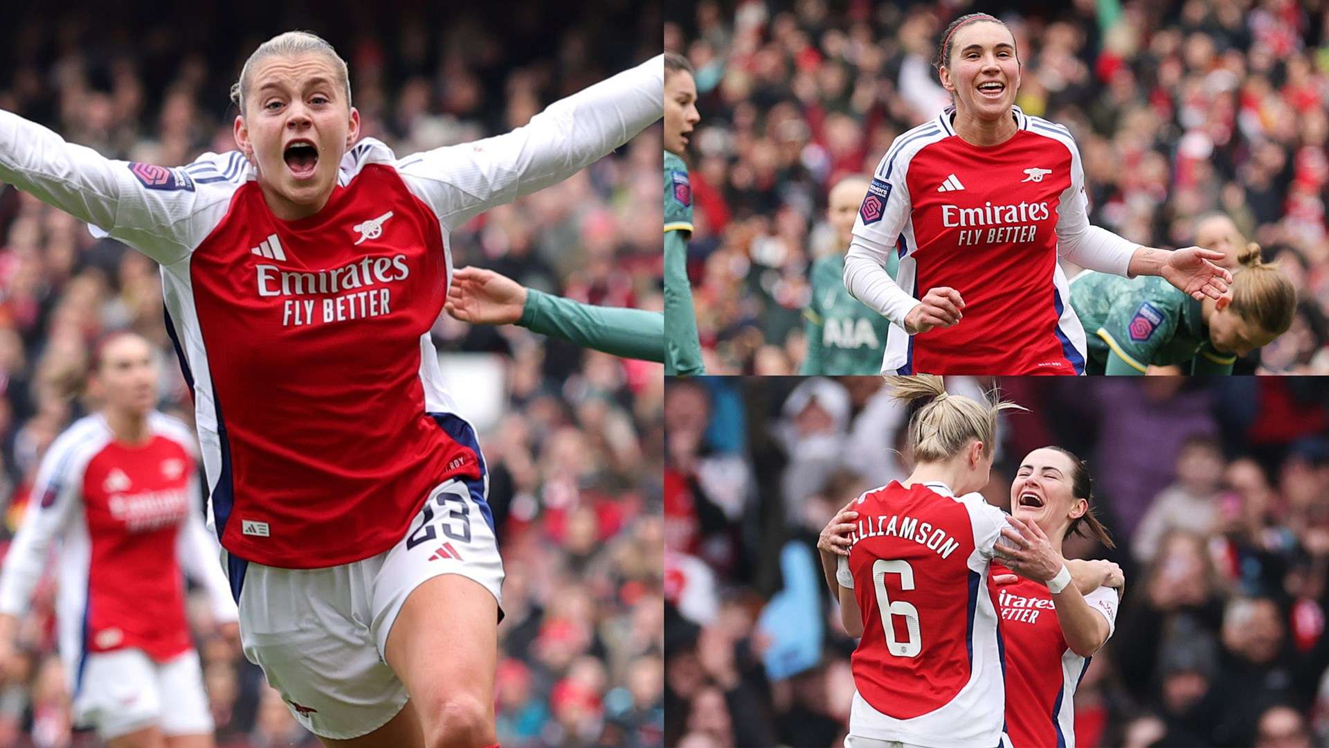 真藍狐的成 真藍狐的成